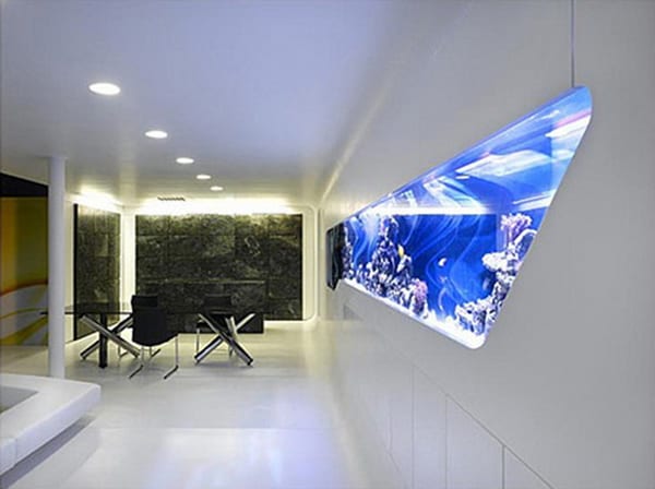 50 In Wall Aquariums - Must See Pictures and Designs